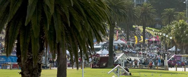 The peloton snakes its way down the back straight in Geelong.