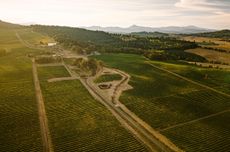 An aerial view of Benton-Lane's vineyard estate in southern Willamette Valley, with fields and mountains in the background.