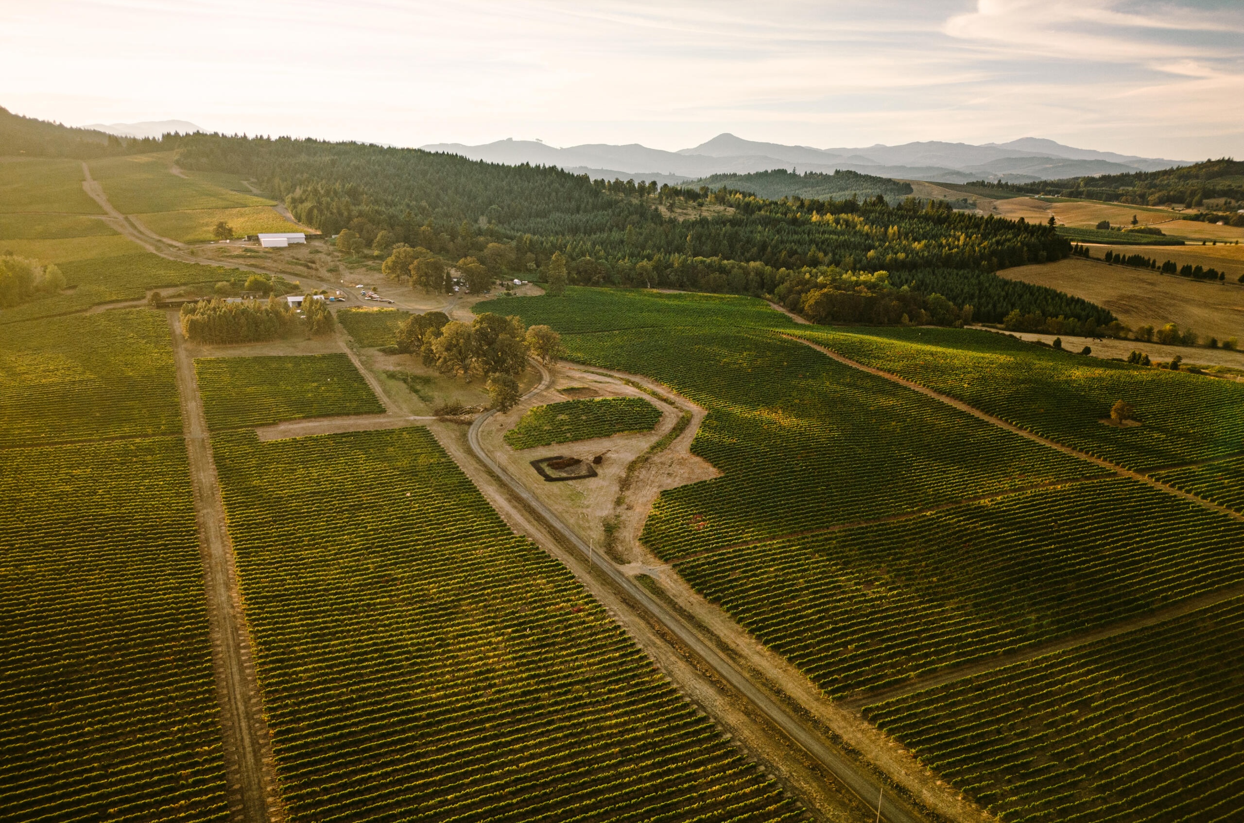 An aerial view of Benton-Lane's vineyard estate in southern Willamette Valley, with fields and mountains in the background.