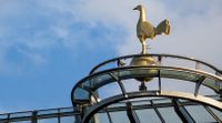 General view of the Tottenham Hotspur Stadium in August 2023.