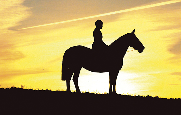 equine euthanasia