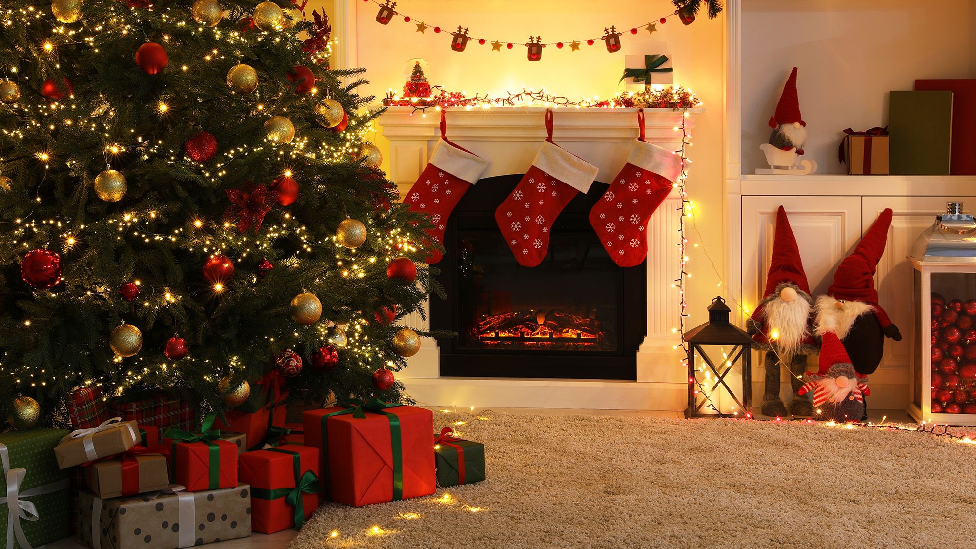 Your Christmas tree could be full of spiders: experts reveal how to stop them spoiling the holidays