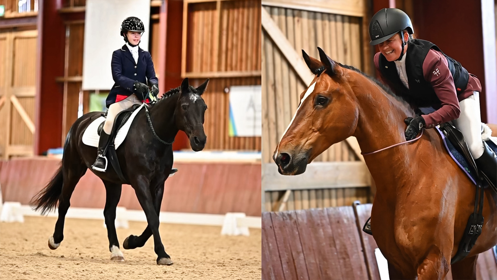 Two horses being ridden bridleless at a competition