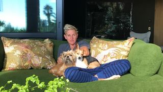 Ellen Degeneres' dogs snuggle up with her on the couch