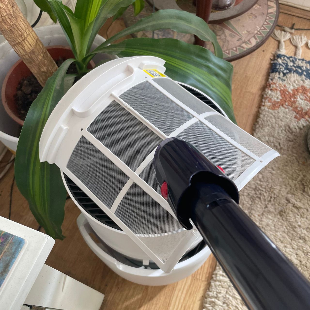 Using a Dyson vacuum to vacuum the dust mesh filters of a Shark air purifier