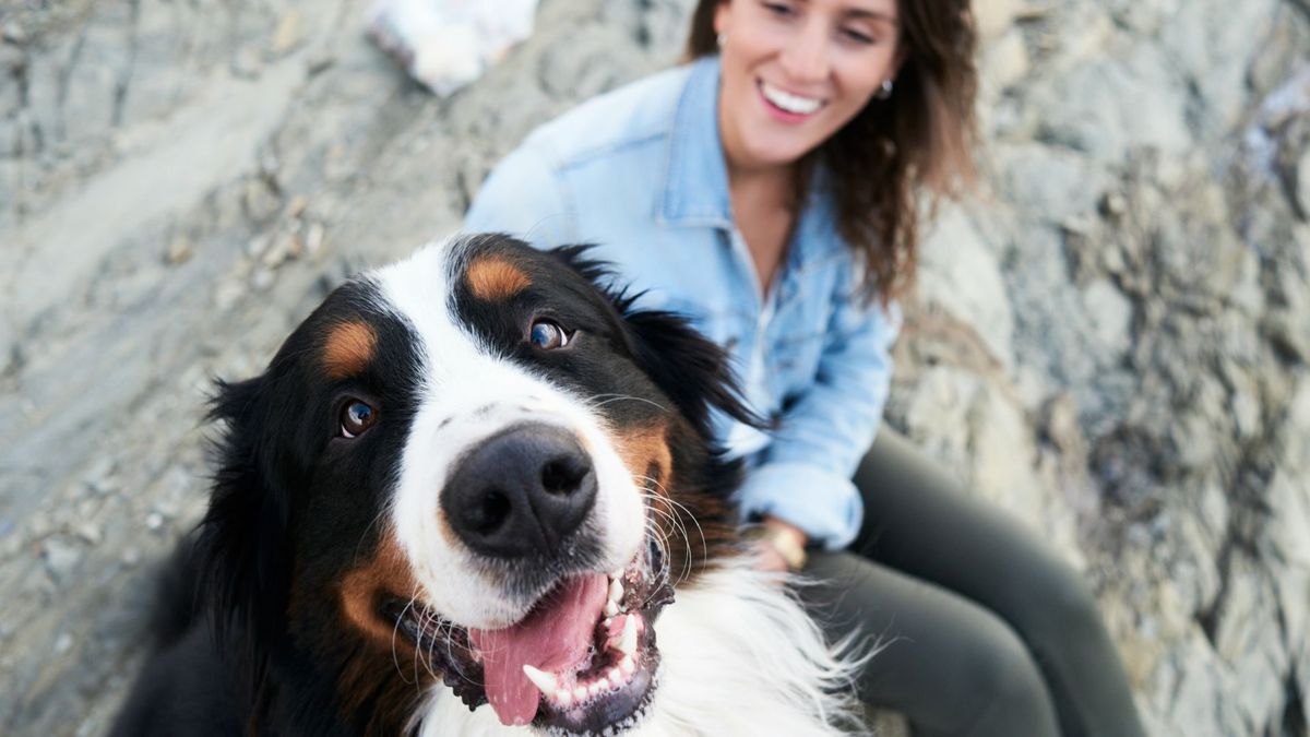 Woman sitting outside with dog sharing a bonding experience