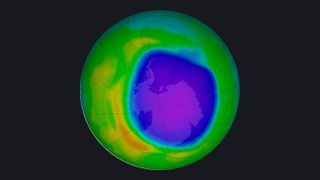 Here, a false-color view of total ozone over the Antarctic pole on Oct. 19, 2020. The purple and blue colors are where there is the least ozone, and the yellows and reds are where there is more ozone.