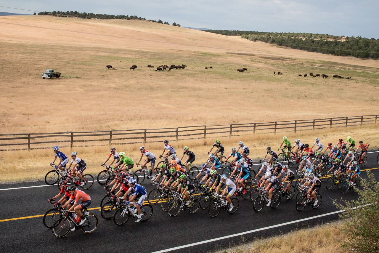 Bison in the distance as the peloton hits the wide open plains outside of Zion
