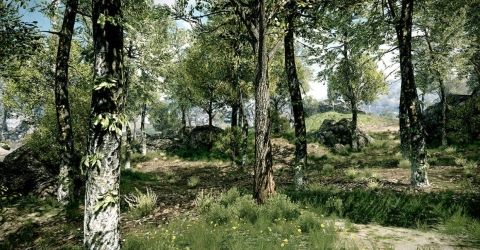 IDV's SpeedTree Middleware Now Available For PlayStation 4 | Cinemablend