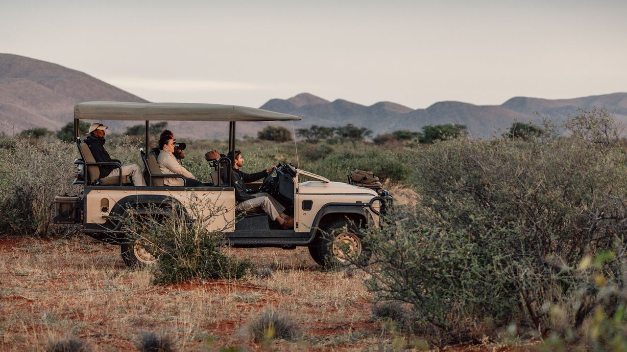 African wild dogs at Tswalu Kalahari
