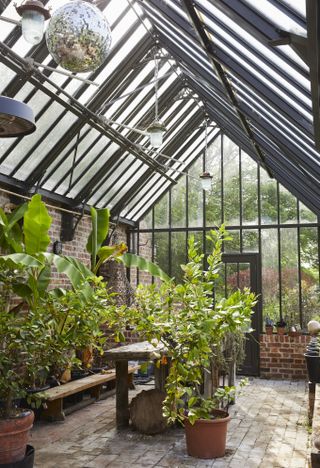 Greenhouse interior with plants