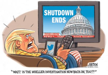 Political cartoon U.S. Trump government shutdown Mueller Russia investigation
