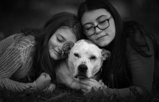 End of life photographer shoots images of dying pets for free to help grieving pet owners