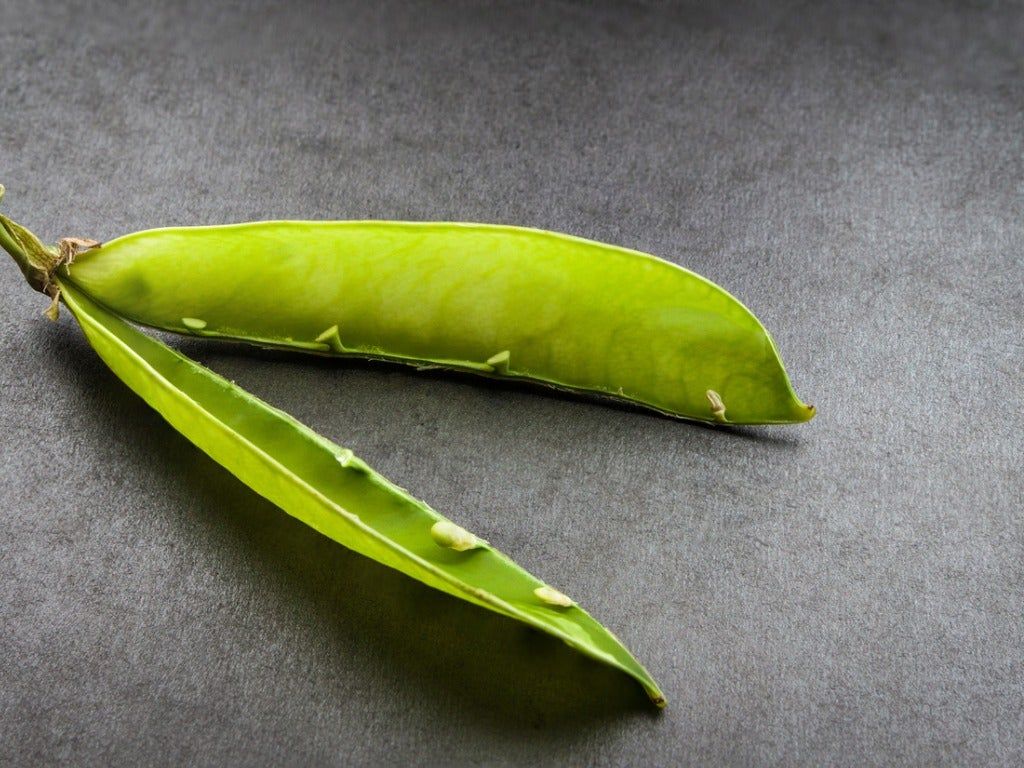 Empty Veggie Pod