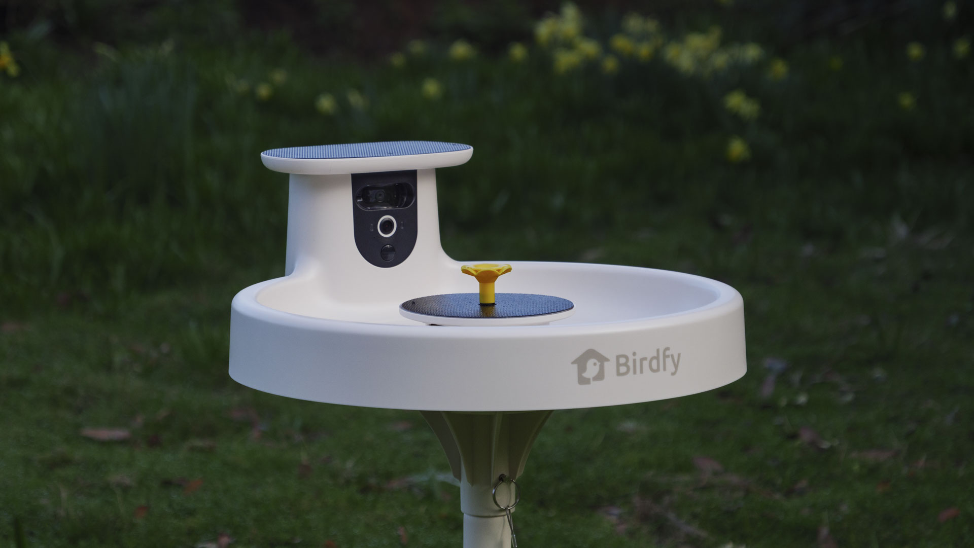 Birdfy Bird Bath Pro camera in a garden