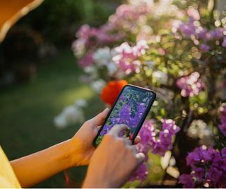 AI gardening app