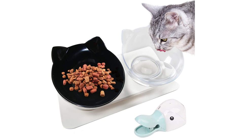 Do antivomit cat bowls work? PetsRadar