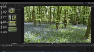 Video editing software editing a video of a green field full of flowers