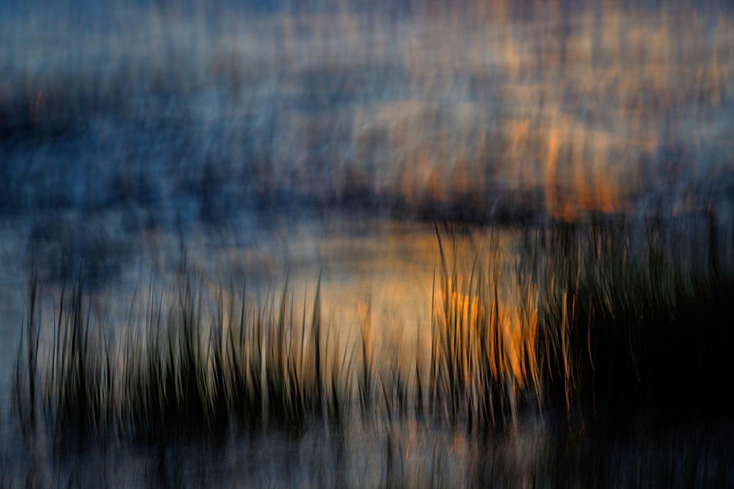 A winning image from the GDT Nature Photographer of the Year