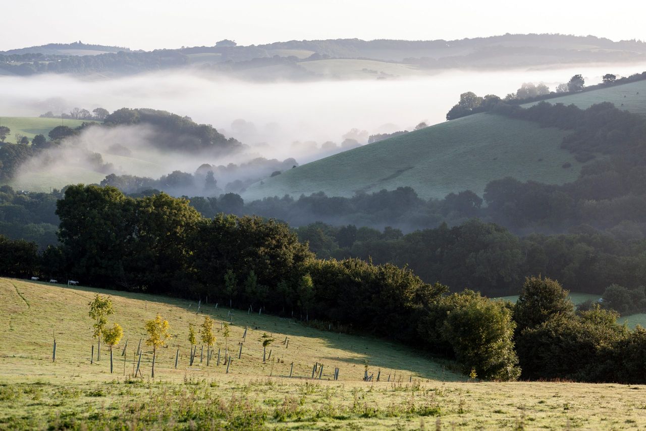 Mist rising over the Teign Valley at Doddiscombsleigh.