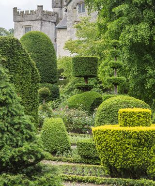 Extraordinary topiary hedges in the gardens of Levens Hall, near Kendal, Cumbria