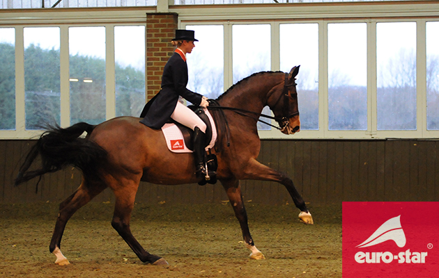 Tellwell — He was a mismatch. A lovely horse but not my horse and we sold him on to a U25 GP rider in Germany who has lots of fun with him and has had some good results too