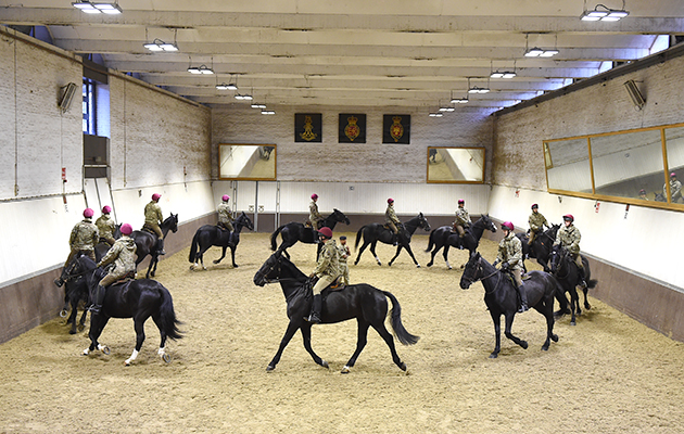 &lsquo;Guard Exercise&rsquo; kicks off at 6.15am in the indoor school, designed to take the edge off the horses that are going on guard duty that day