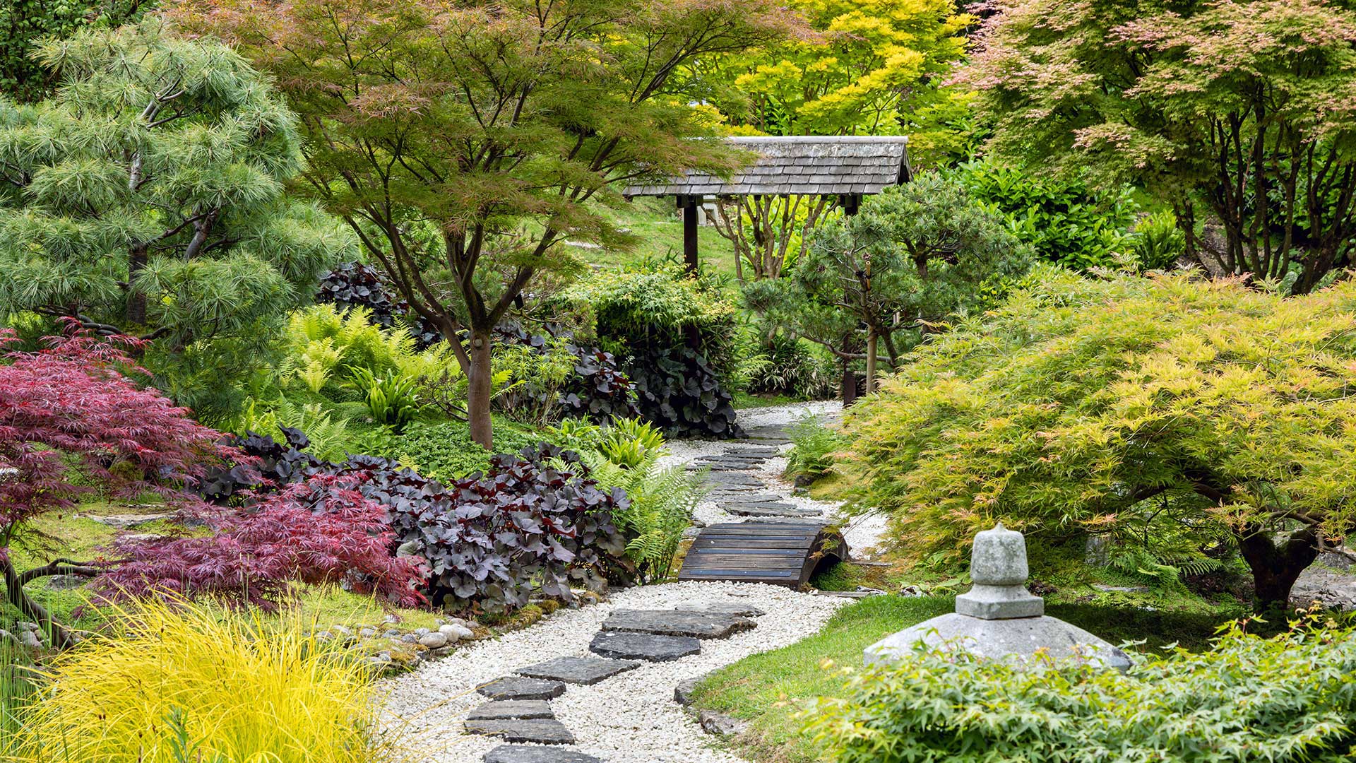 path in Japanese garden at Kingston Lacy in Dorset, England