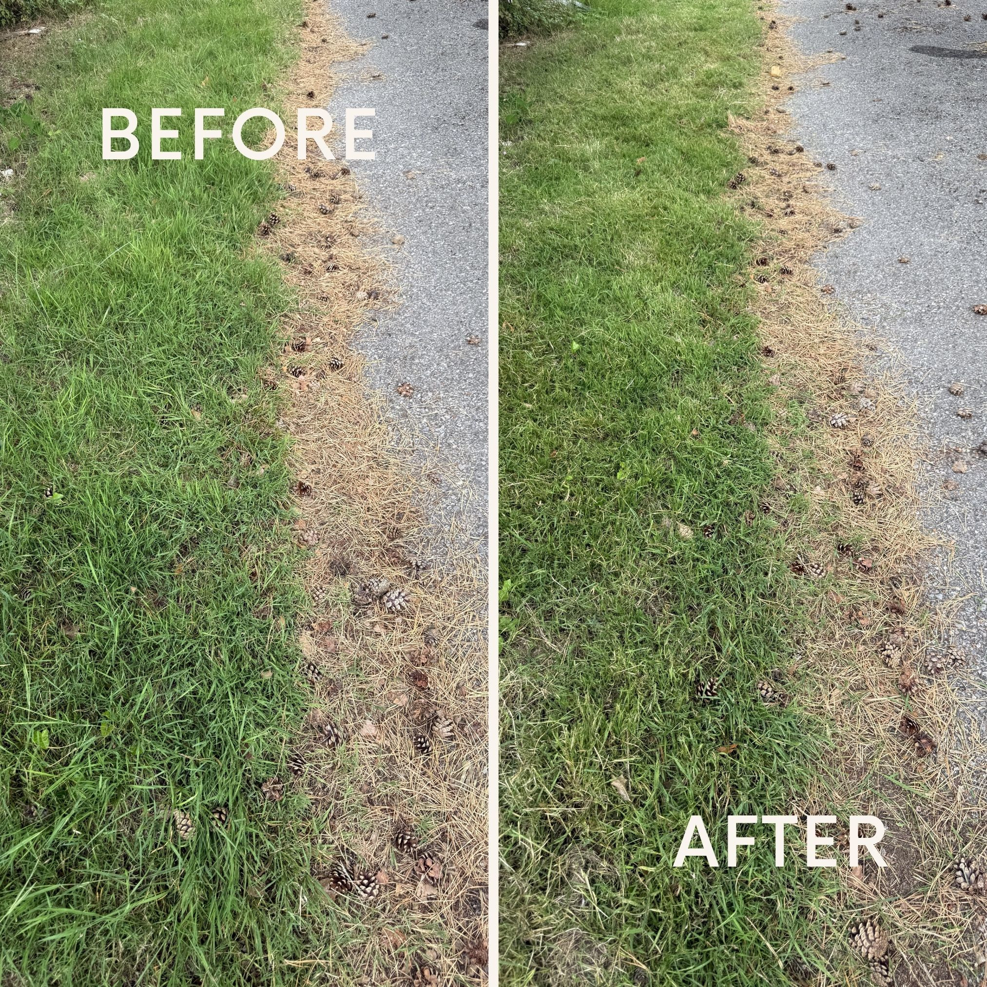 trimming grass edging using a karcher grass trimmer