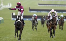 Don Cosack (left) wins the Cheltenham Gold Cup 2016 from Djakadam (right) 18-3-16