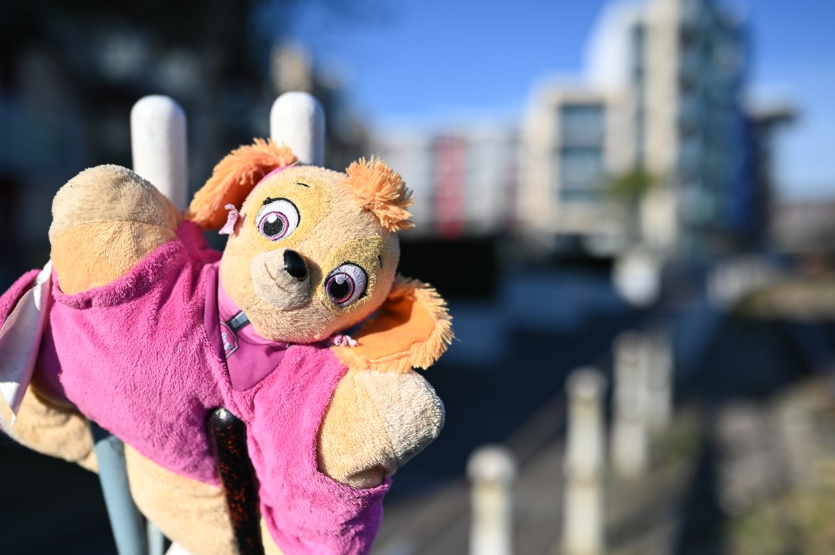 Nikon Z 35mm f/1.2 S example shot