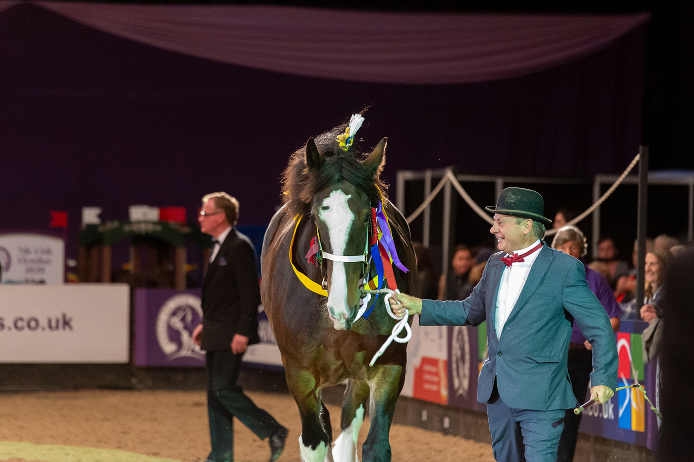 HOYS 2019