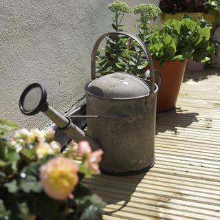 flower pots with watering can