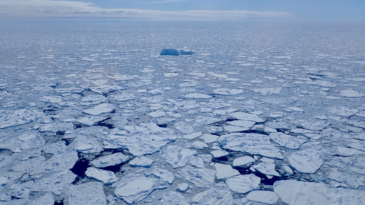  Antarctic sea ice hits 'record-smashing' low this year, satellite data shows 