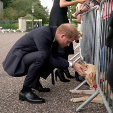 Britain's Prince Harry, Duke of Sussex, (L) pets a dog as his wife Meghan, Duchess of Sussex, looks at a baby on the Long walk at Windsor Castle on September 10, 2022 as they meet with well-wishers. - King Charles III pledged to follow his mother's example of "lifelong service" in his inaugural address to Britain and the Commonwealth, after ascending to the throne following the death of Queen Elizabeth II on September 8.