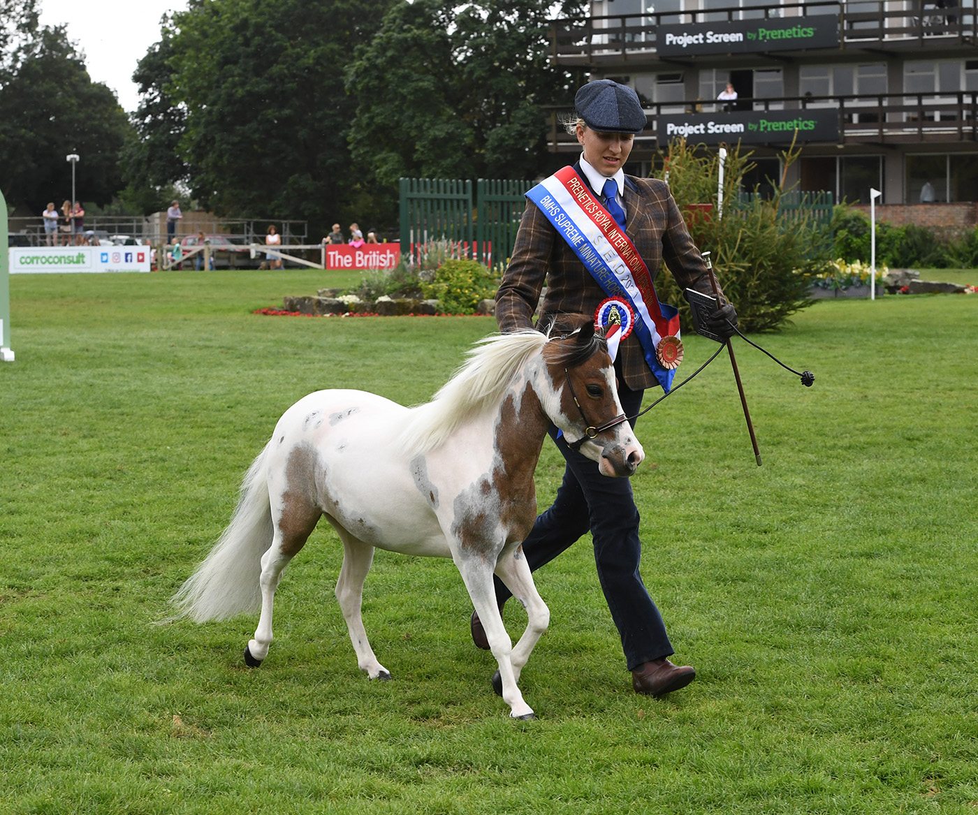 RIHS 24.07.21Mini Horse Champ.