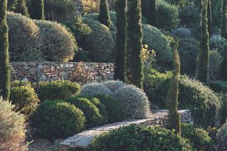 ringing the Mediterranean into your Garden: how to capture the natural beauty of the garrigue