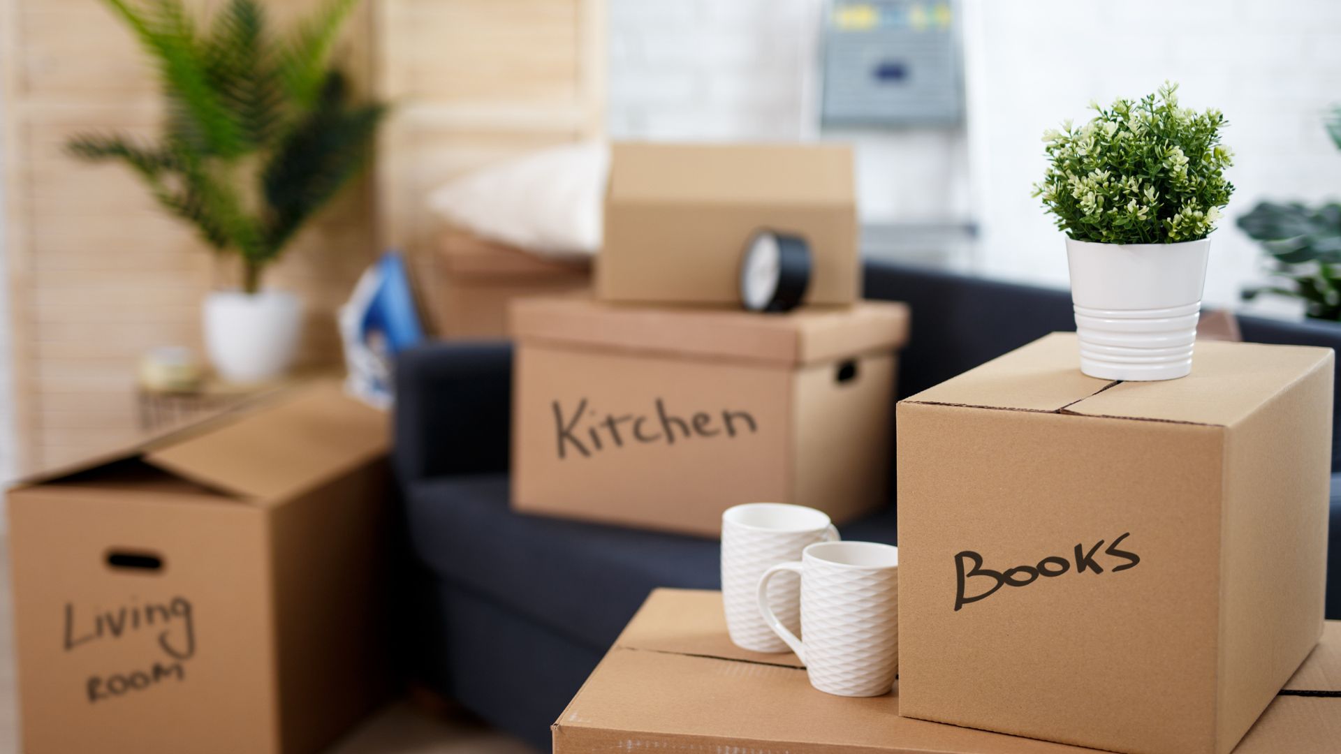picture of moving boxes with labels on them