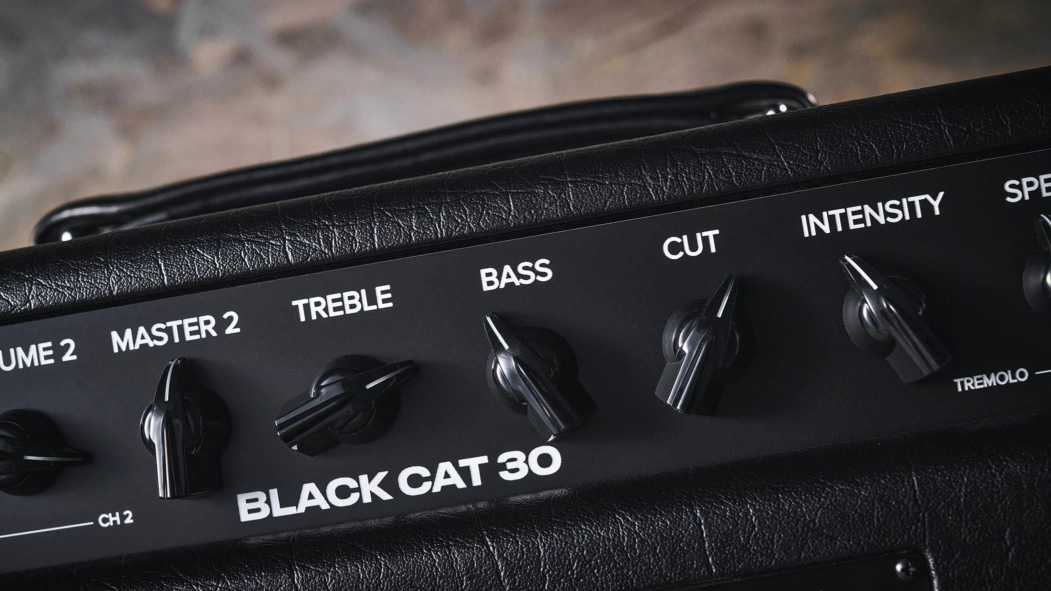 The Bad Cat Mod Shop Black Cat combo, shot in closeup.