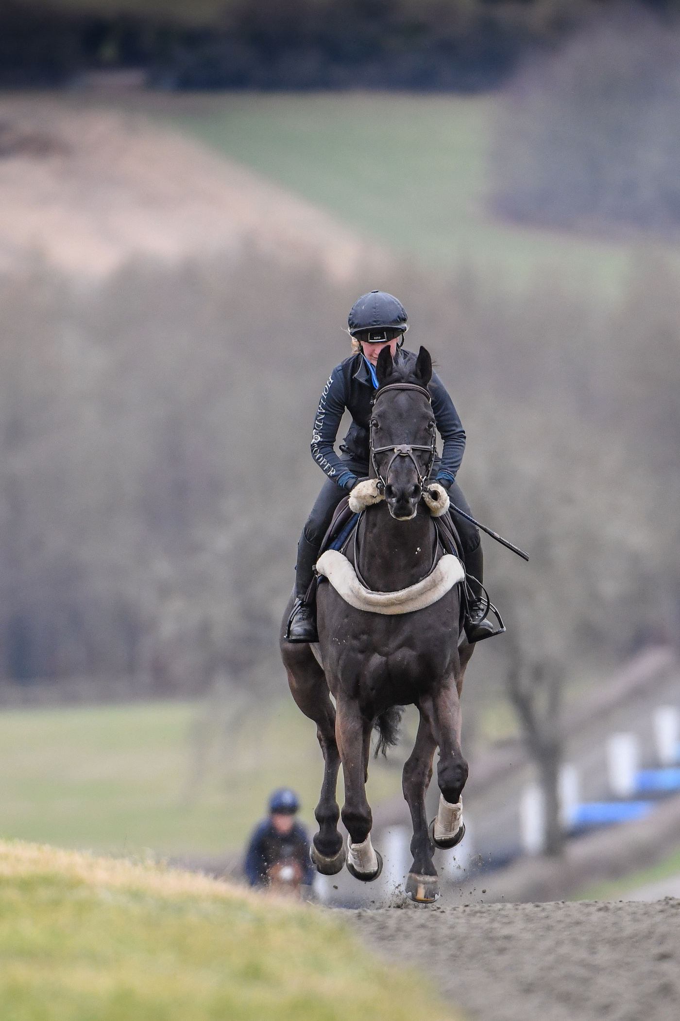 Dacapo and Tilly Hughes on the gallops