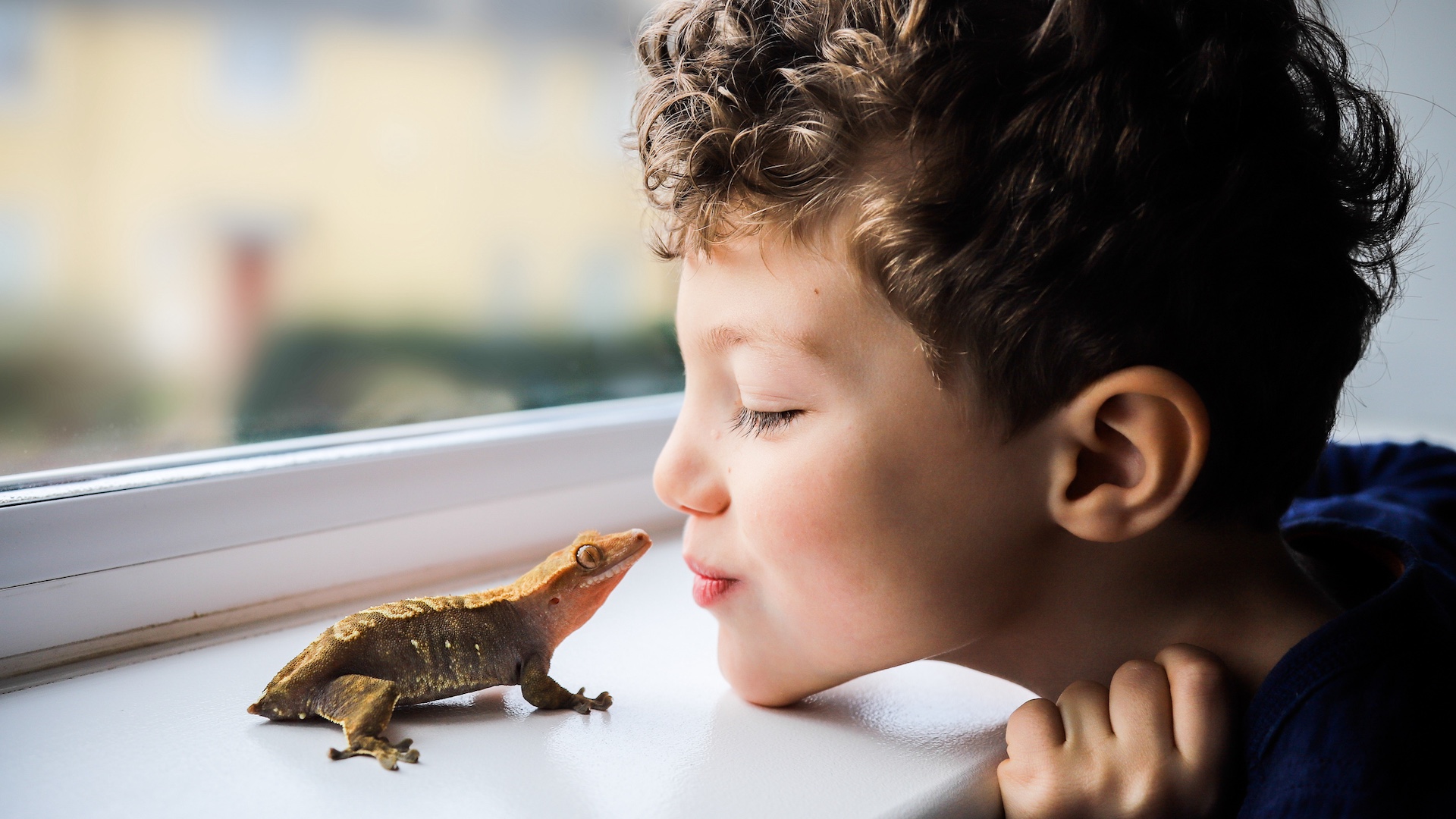 Child with pet gecko
