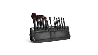 best makeup brushes: Morphe MUA brush set