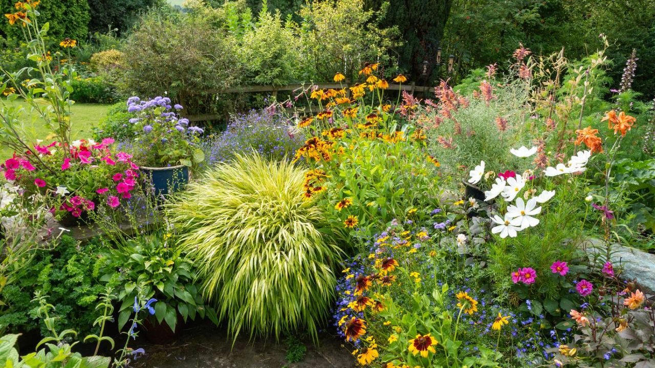 Vibrant flowers and green plants in a luscious garden