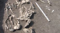 A half unearthed skeleton is seen in brown mud.