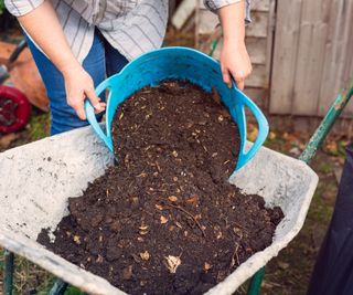 A woman mixing potting soil and compost in a wheelbarrow