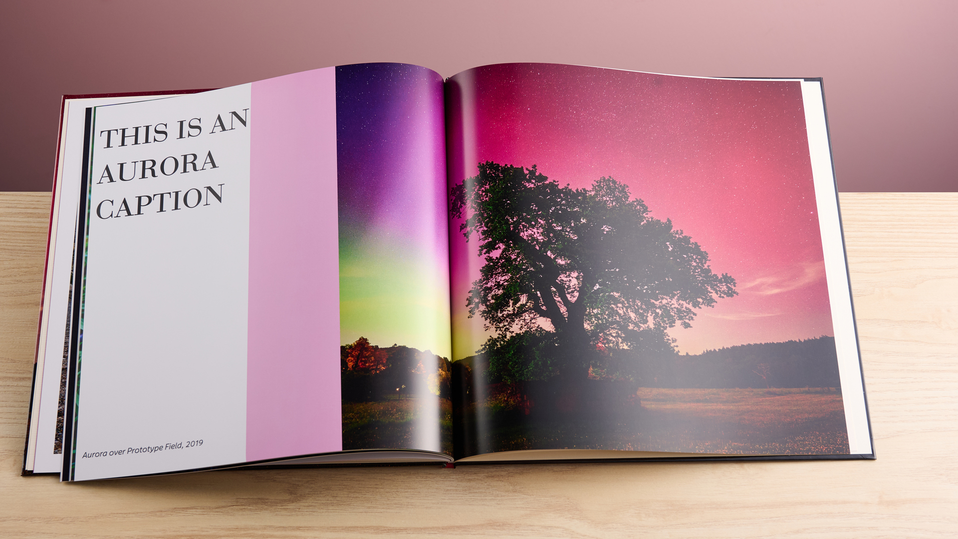 Picture of tree in the Cewe photo book