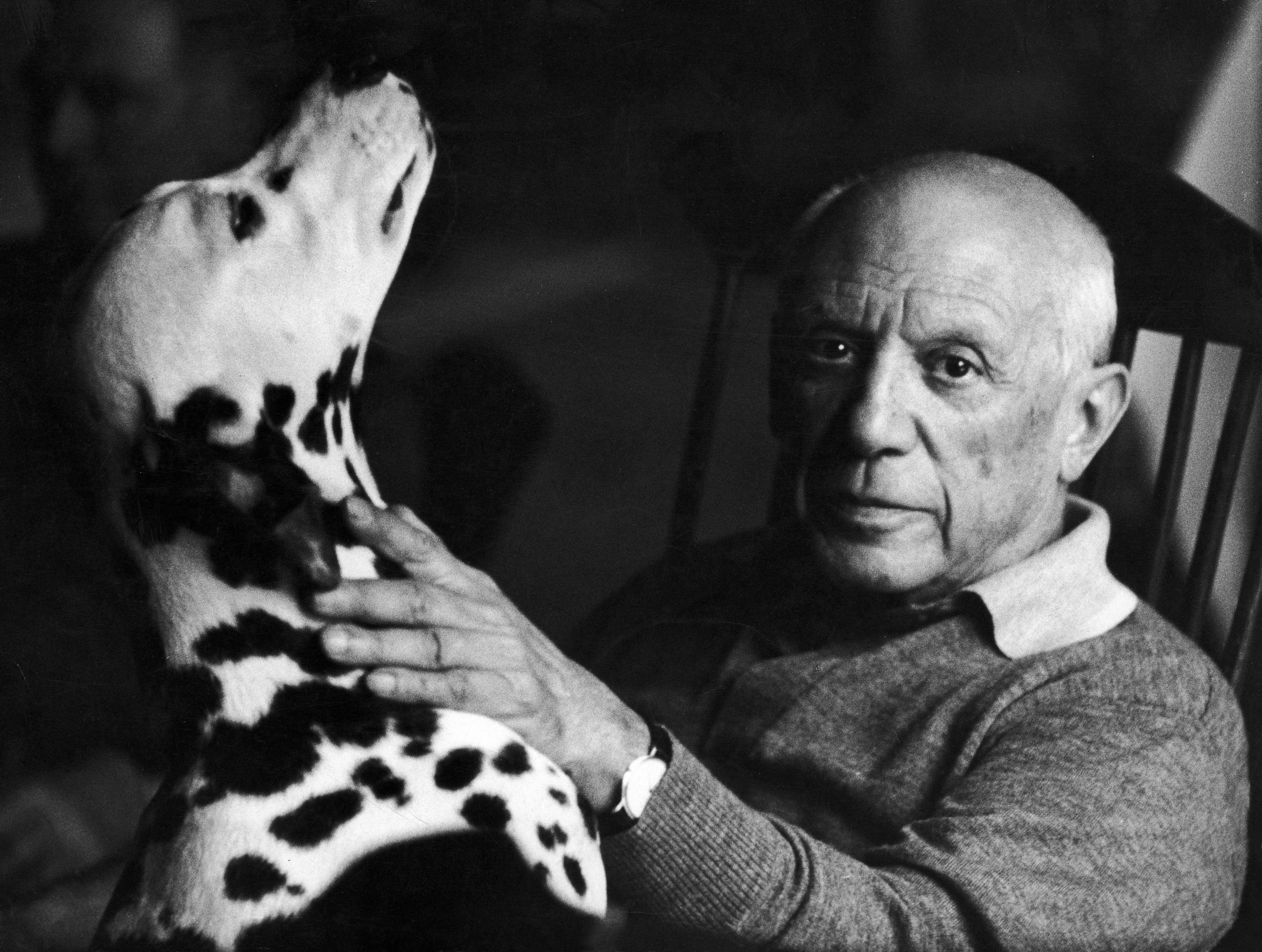 A black-and-white portrait of Pablo Picasso seated indoors, resting his hand on a dalmatian that looks upward beside him.