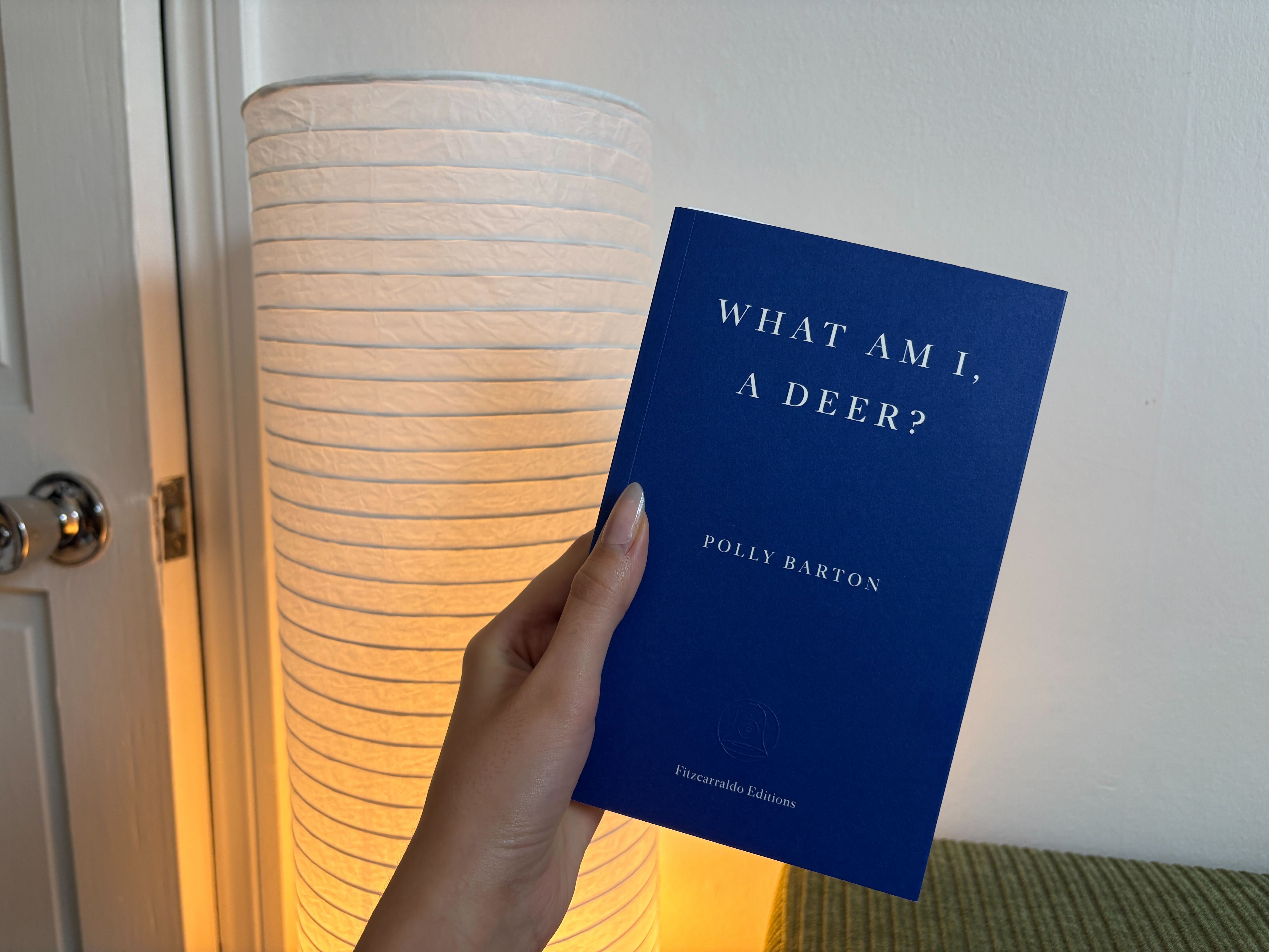 wallpaper editors picks: things to do in march