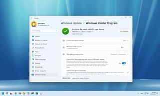 Windows Insider Program opt-out setting