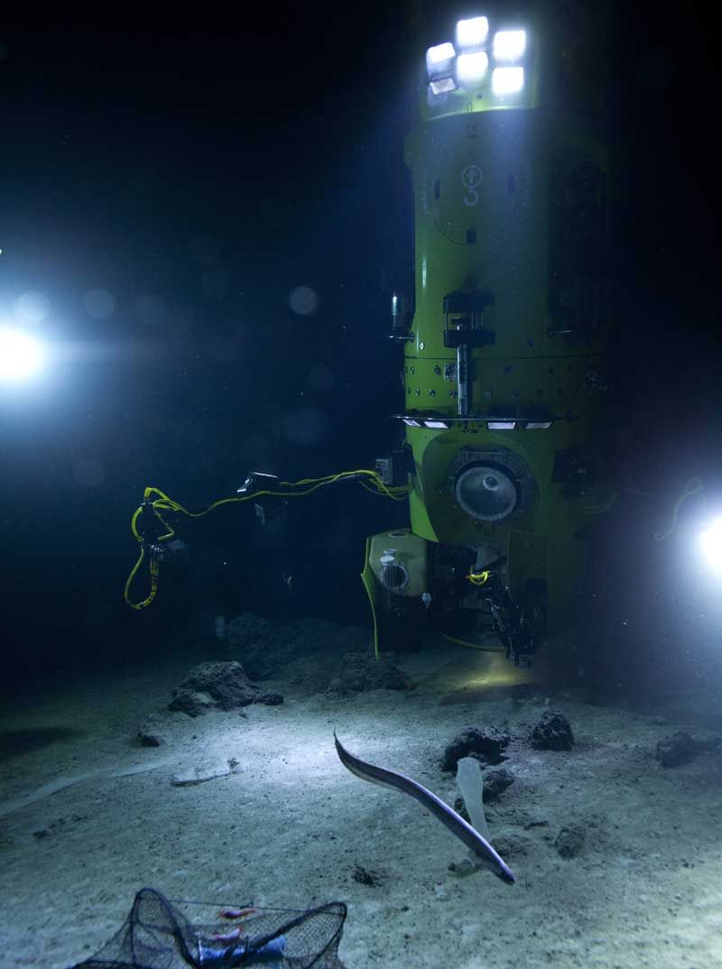 cameron-s-dive-stirs-push-for-future-deep-sea-exploration-live-science